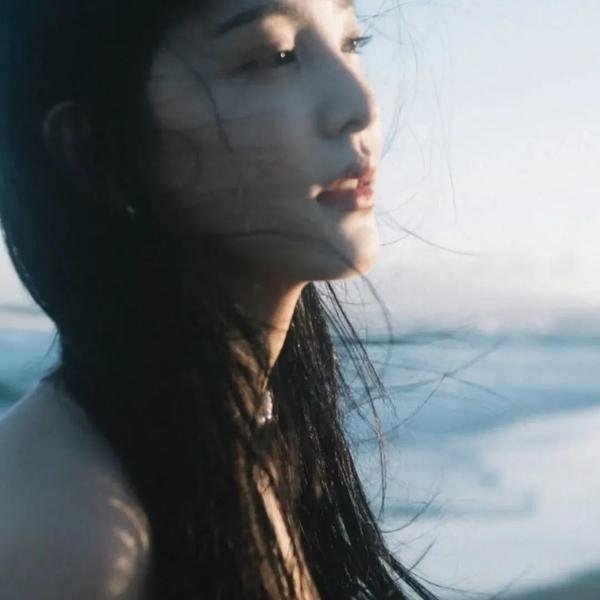 海燕双飞